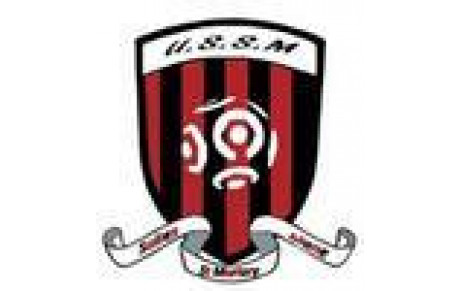 U.S.SALIES DU SALAT MANE ST MART