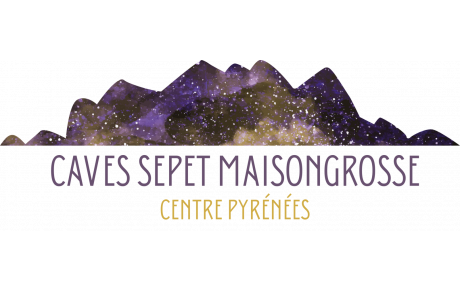 Caves Sepet Maisongrosse 17 RUE DES LANNETTES 65100 GER